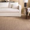 imageMartha Stewart x SAFAVIEH Area Rug Collection  9 x 13 Beige ampamp Ivory Sisal ampamp Jute Farmhouse Style Ideal for Living Room Bedroom Office Dining Space MSR9501CLight Brown