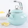 imageMartha Stewart 15Quart Enamel on Steel Carbon Steel Tea Kettle wStainless Steel Handle  Martha Blue