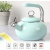 imageMartha Stewart 15Quart Enamel on Steel Carbon Steel Tea Kettle wStainless Steel Handle  Martha Blue