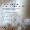 imageMartha Stewart 3 Inch White Down Feather Mattress Topper  Full Size Fluffy White Feather Bed Topper 100 Cotton Cover Fabric Ultra Soft Pillow Top Featherbed for Bedroom 54quot x 75quotQueen