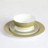 imageMartha Stewart Gracie Lane Porcelain Decorated Dinnerware Set  Martha Blue wGold Rim Service for 4 12pcsOlive Green w Gold Rim