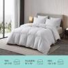 imageMartha Stewart Tencel Lyocell Cotton Blend Hungarian White Goose Down Feather Comforter King Size750 Fill Power All Seasons Warmth Lightweight Duvet Insert Made in USA 106quot x 90quotKing