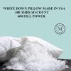 imageMartha Stewart White Down Pillows 600 Fill Power Luxury Hotel Bed Pillow Cooling Breathable Sleeping Pillows Made in USAKingSet of 1 Pack