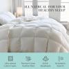 imageWhite Feather and Down Comforter Queen Size  Luxury All Season with 100 Cotton Fabric Duvet Insert with 4 Corner Loops  240 Thread Count Hotel Comforter Bedding for YearAround 90quot x 90quotWhite