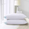 imageMartha Stewart Tencel LyocellCotton Blend White Feather Down Pillow Medium Firm2 PackKing Size Bed Pillow 2 CountJumbo