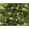 imageMartha Stewart Acadia Spruce Green Tree with 400 LED Lights 75 Feet Tall