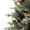 imageMartha Stewart Blue Spruce PreLit Artificial Christmas Tree 65 Feet Multicolored LightsClear White Lights