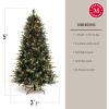 imageMartha Stewart Blue Spruce PreLit Artificial Christmas Tree 65 Feet Multicolored LightsClear White Lights