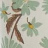 imageMartha Stewart Daisy 3Piece Window Curtain Valance and Tiers Set GreenGreen