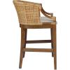imageMartha Stewart Farmhouse Counter Height Bar Stools Handcrafted Rattan Counter Height Stools Kickplate Footrest for Kitchen Island Upholstered Dining Room Chairs Furniture Home Bar  Natural PlayaNatural