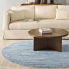 imageMartha Stewart x SAFAVIEH Area Rug Collection  5 x 8 Beige NonShedding ampamp Easy Cleaning Ideal for Living Room Bedroom Office Dining Space MSR920BBlue