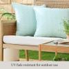imageMartha Stewart Vineyard Vines Indoor Outdoor Decorative Lumbar Pillow 2Pack Set UV Fade Resistant Water Repellent Printed Garden Design Warm Grey 11quotx18quotAqua Blue