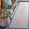 imageMartha Stewart x SAFAVIEH Outdoor Area Rug Collection  8 x 10 Blue ampamp Beige Weather Resistant ampamp Washable Ideal for Patio Backyard Mudroom Deck Dining Space MSR4491MGreyIvory