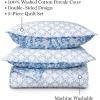 imageMARTHA STEWART 100 Cotton 2 Piece Reversible Quilt Set Washed Percale Light BlueWhite 1 Quilt 1 Std Sham Soft and Breathable Lightweight Ditsy Floral Printed Bedspread Twin SizeFloral Blue