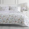 imageMARTHA STEWART 100 Cotton 2 Piece Reversible Quilt Set Washed Percale Light BlueWhite 1 Quilt 1 Std Sham Soft and Breathable Lightweight Ditsy Floral Printed Bedspread Twin SizeBethany Jacobean