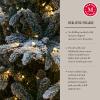 imageMartha Stewart Flocked Natural PreLit Artificial Christmas TreeClear White Lights