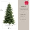 imageMartha Stewart Natural Pine  75 MU PreLit Artificial Christmas Tree Feet Multicolored LightsClear White Lights