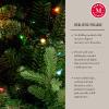imageMartha Stewart Natural Pine  75 MU PreLit Artificial Christmas Tree Feet Multicolored LightsMulticolored Lights