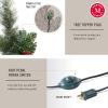 imageMartha Stewart Pinecone and Berry PreLit Artificial Christmas Tree Clear LightsClear White Lights