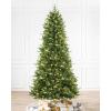 imageMartha Stewart Acadia Spruce Green Tree with 200 LED Lights 5 Feet Tall