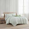 imageMartha Stewart  Queen Size Quilt Set Soft amp Smooth Sateen Bedding with a Light and Breathable Feel 3 Piece Bed Set with Matching Pillowcases Fern Embroidery GreyTicking Stripe Green