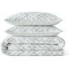 imageMartha Stewart  Queen Size Quilt Set Soft amp Smooth Sateen Bedding with a Light and Breathable Feel 3 Piece Bed Set with Matching Pillowcases Fern Embroidery GreyVine Flora Green