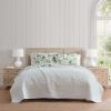 imageMartha Stewart  Queen Size Quilt Set Soft amp Smooth Sateen Bedding with a Light and Breathable Feel 3 Piece Bed Set with Matching Pillowcases Fern Embroidery GreyHydrangea Floral Beige