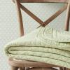 imageMartha Stewart  Queen Size Quilt Set Soft amp Smooth Sateen Bedding with a Light and Breathable Feel 3 Piece Bed Set with Matching Pillowcases Fern Embroidery GreyVintage Scallop Green