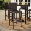 image:imageMartha Stewart Bedford IndoorOutdoor Patio Bar Stools with Rattan Wicker Finish in Brown Set of 2Brown
