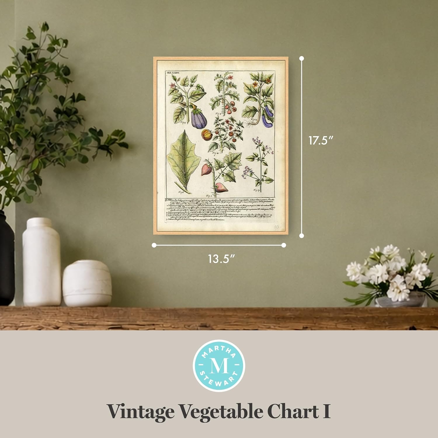 image:imageMartha Stewart Bedford Canvas Wall Art Vintage Vegetable Chart I 135 x 175 Living Room and Bedroom Decor Framed