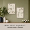 image:imageMartha Stewart Bedford Canvas Wall Art Shadow Botanical Study I 135 x 195 Living Room and Bedroom Decor FramedShadow Botanical Study I
