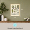 image:imageMartha Stewart Bedford Canvas Wall Art Vintage Vegetable Chart I 135 x 175 Living Room and Bedroom Decor Framed