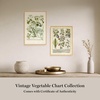image:imageMartha Stewart Bedford Canvas Wall Art Vintage Vegetable Chart I 135 x 175 Living Room and Bedroom Decor Framed