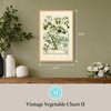 image:imageMartha Stewart Bedford Canvas Wall Art Vintage Vegetable Chart II 135 x 195 Living Room and Bedroom Decor Framed