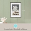 image:imageMartha Stewart Lily Pond Paper Wall Art Seaside Study Shorebirds in Motion 2175 x 2975 Living Room and Bedroom Decor FramedSeaside Study Shorebirds in Motion