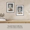 image:imageMartha Stewart Lily Pond Paper Wall Art Seaside Study Shorebirds in Motion 2175 x 2975 Living Room and Bedroom Decor FramedSeaside Study Shorebirds in Motion