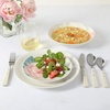 image:imageMartha Stewart Maiden Crown Plates and Bowls Sets 12Piece New Bone China Dinnerware Sets Botanical Floral Design Dish Set Microwave amp Dishwasher SafePeony
