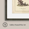 image:imageMartha Stewart Skylands Paper Wall Art Ornithology Plate Bluebird I 1975 x 2375 Living Room and Bedroom Decor FramedOrnithology Plate Bluebird II