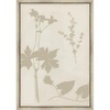 image:imageMartha Stewart Bedford Canvas Wall Art Shadow Botanical Study I 135 x 195 Living Room and Bedroom Decor FramedShadow Botanical Study I