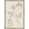 image:imageMartha Stewart Bedford Canvas Wall Art Shadow Botanical Study I 135 x 195 Living Room and Bedroom Decor FramedShadow Botanical Study II