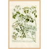image:imageMartha Stewart Bedford Canvas Wall Art Vintage Vegetable Chart II 135 x 195 Living Room and Bedroom Decor Framed