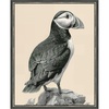image:imageMartha Stewart Lily Pond Canvas Wall Art Coastal Bird Study Puffin 26 x 32 Living Room and Bedroom Decor Framed
