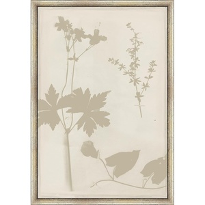 image:imageMartha Stewart Bedford Canvas Wall Art Shadow Botanical Study I 135 x 195 Living Room and Bedroom Decor FramedShadow Botanical Study I