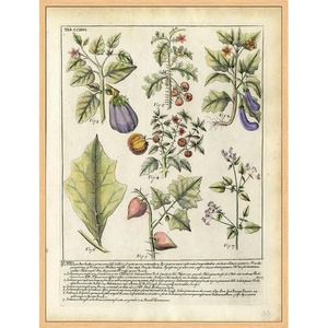 image:imageMartha Stewart Bedford Canvas Wall Art Vintage Vegetable Chart I 135 x 175 Living Room and Bedroom Decor Framed