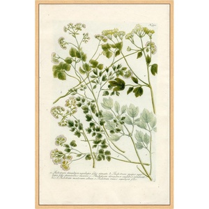 image:imageMartha Stewart Bedford Canvas Wall Art Vintage Vegetable Chart II 135 x 195 Living Room and Bedroom Decor Framed