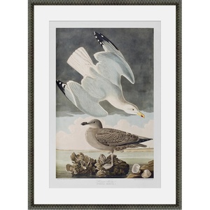 image:imageMartha Stewart Lily Pond Paper Wall Art Seaside Study Shorebirds in Motion 2175 x 2975 Living Room and Bedroom Decor FramedSeaside Study Shorebirds in Motion