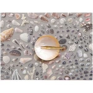 image:imageChilewich Seashell Placemats Set of 4  Woven Dining Table Mats  Reusable StainResistant IndoorOutdoor Tabletop Protection  14 x 19