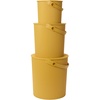 Mustard