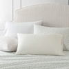 image:imageMartha Stewart  Full Sheet Set with Fitted Sheet amp Pillowcases Cotton Percale Bedding with a Smooth Feel Deep Pocket Gingham BrownKennedy Floral Green