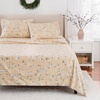 Holiday Winter Wonderland  Santa Claus